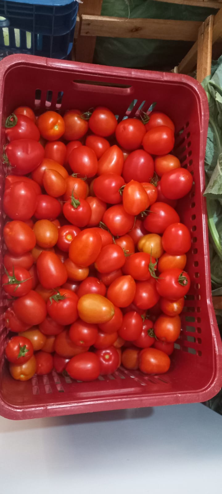 Arapongas reforça compromisso com segurança alimentar no Dia Mundial