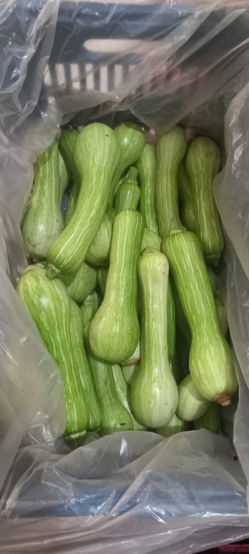 Arapongas reforça compromisso com segurança alimentar no Dia Mundial