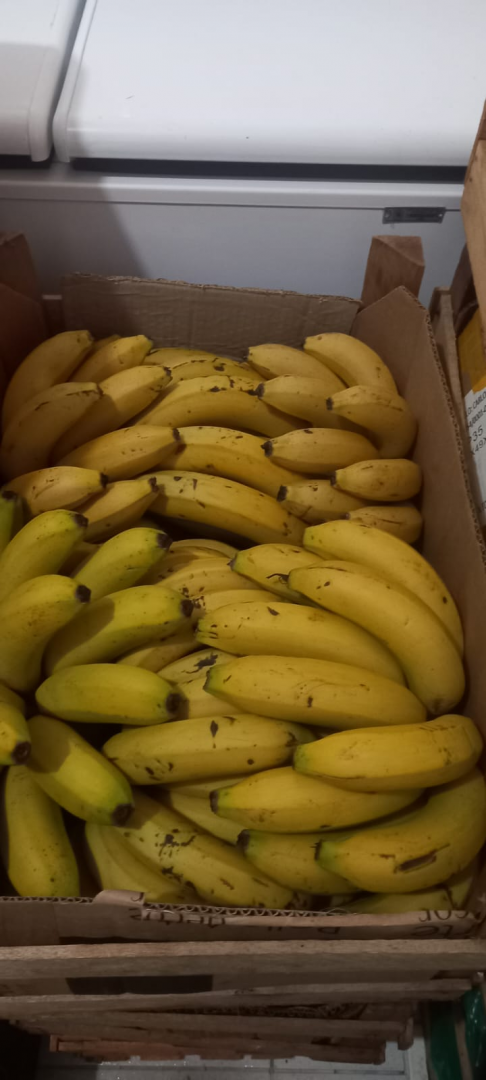 Arapongas reforça compromisso com segurança alimentar no Dia Mundial