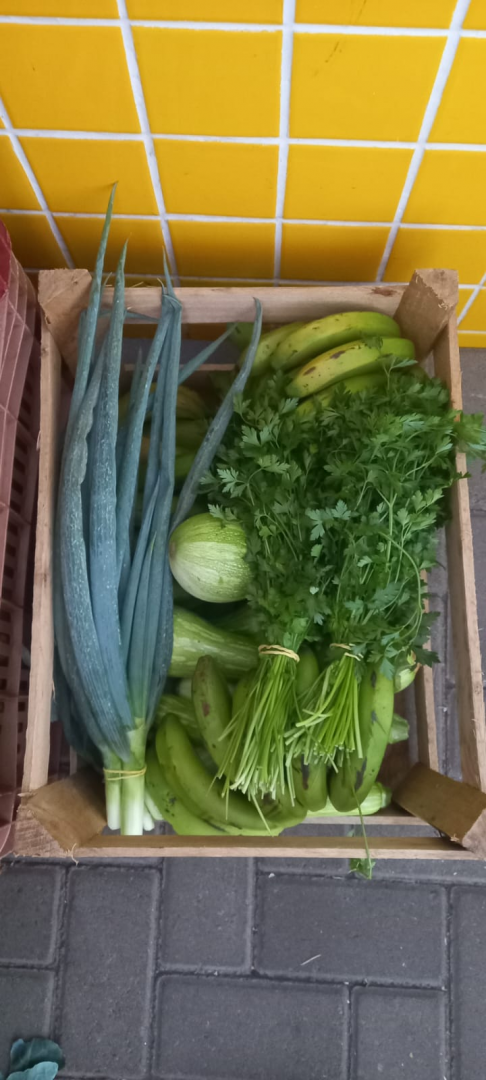 Arapongas reforça compromisso com segurança alimentar no Dia Mundial