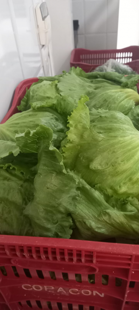 Arapongas reforça compromisso com segurança alimentar no Dia Mundial