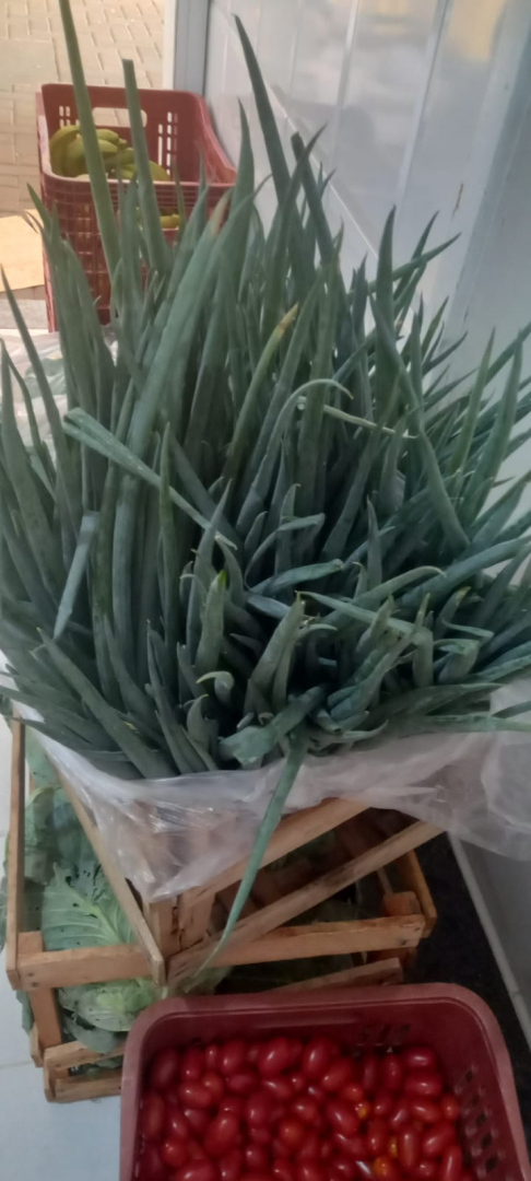 Arapongas reforça compromisso com segurança alimentar no Dia Mundial