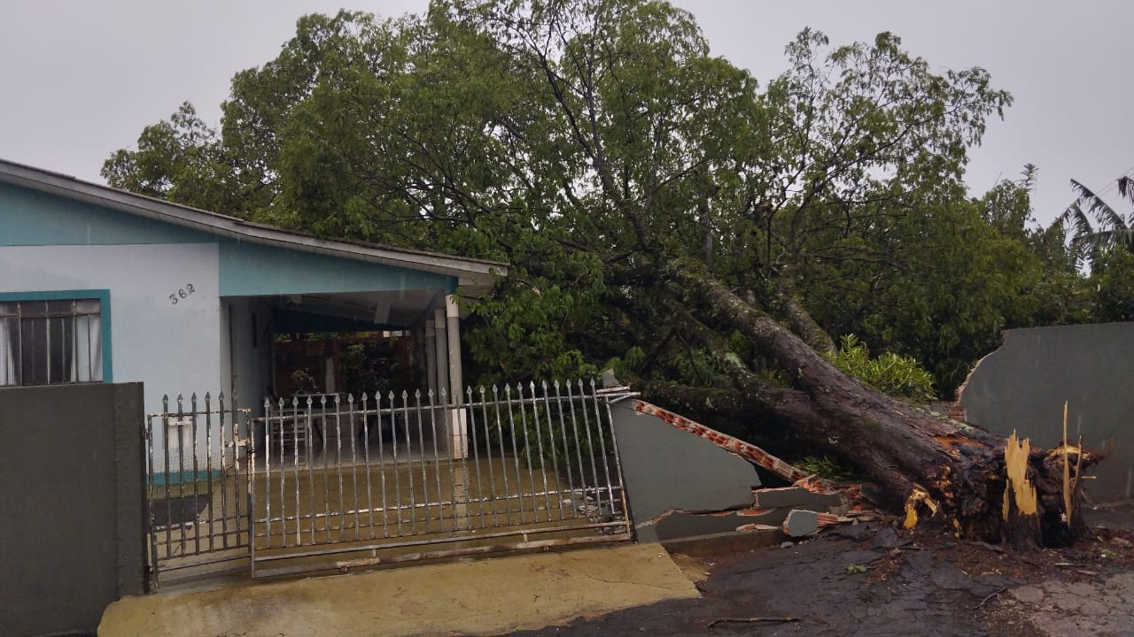 Pelo menos 35 árvores caíram e 12 imóveis foram destelhados em Apucarana (PR),