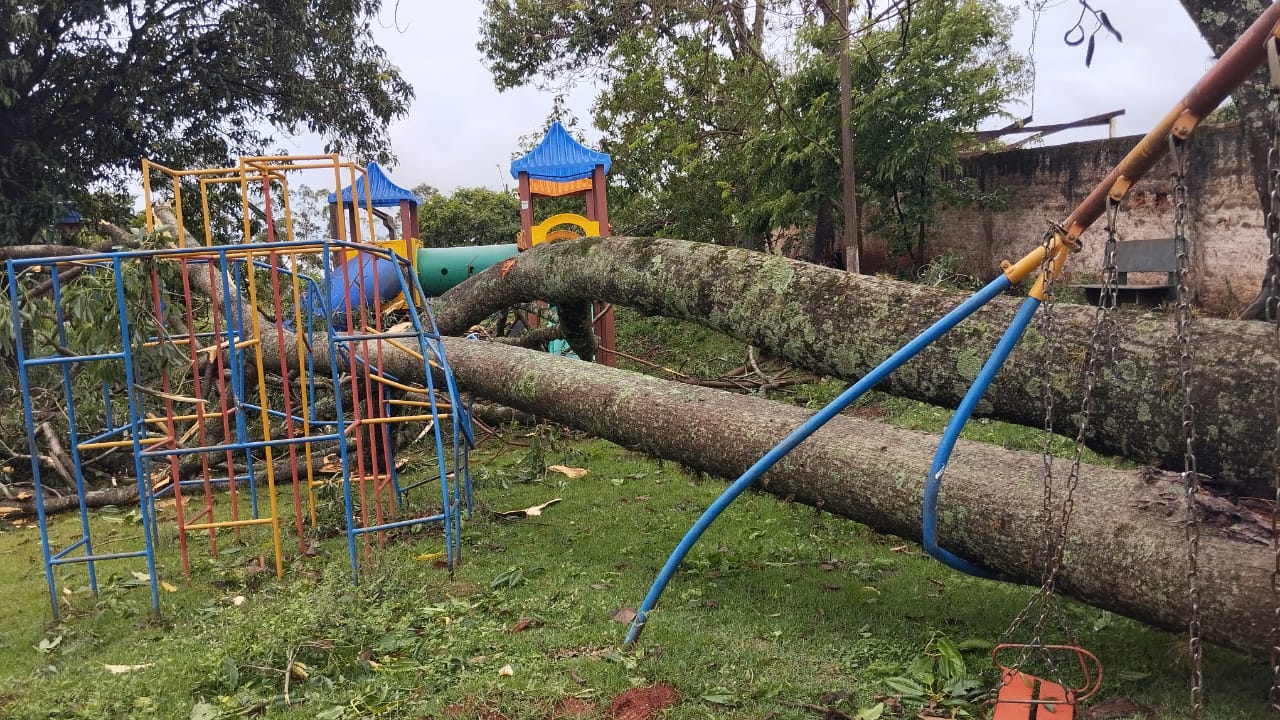 Pelo menos 35 árvores caíram e 12 imóveis foram destelhados em Apucarana (PR),