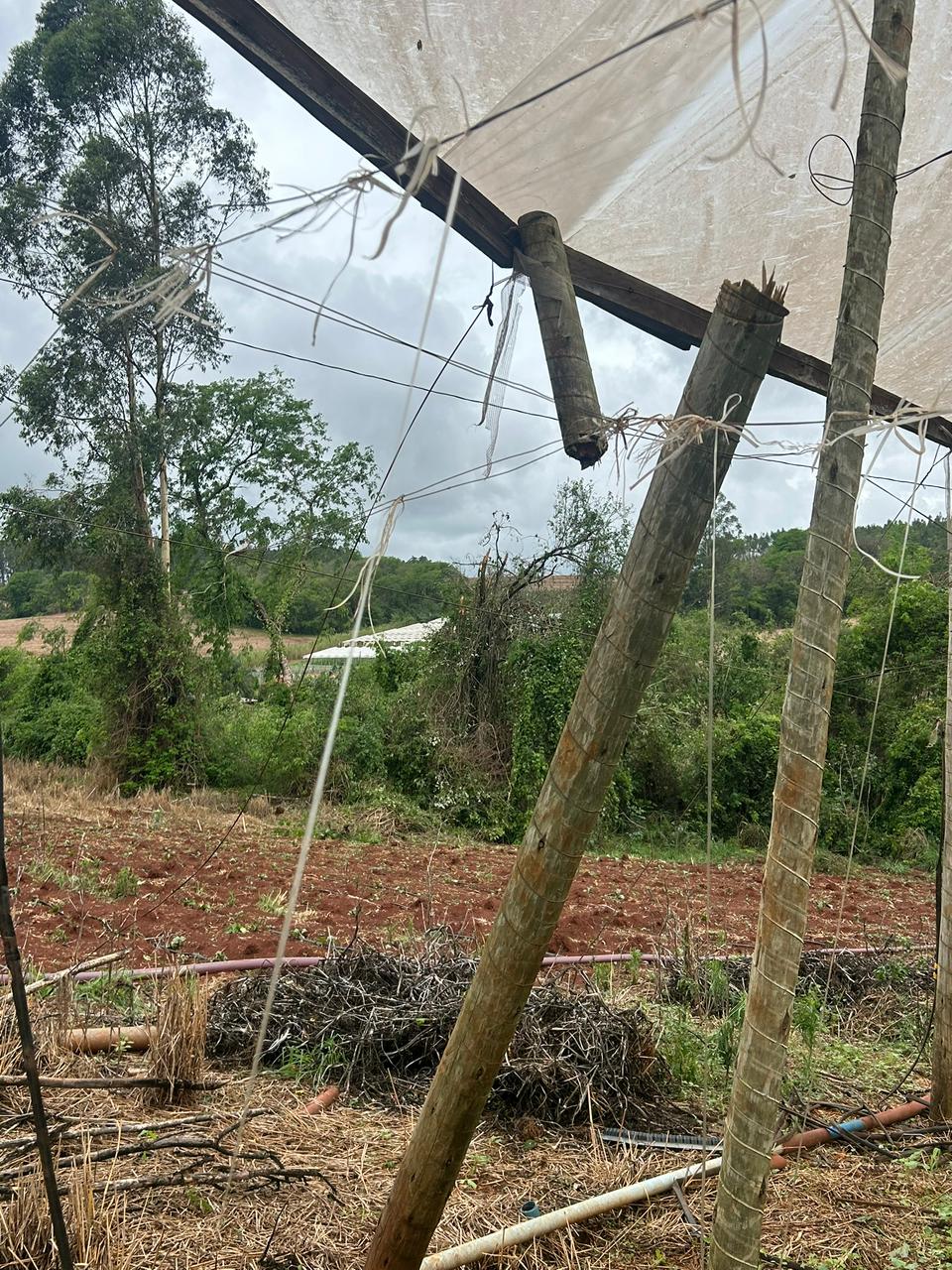 'Perdemos uns R$ 100 mil', diz produtor rural após temporal em Cambira