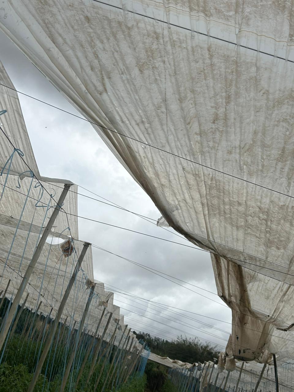 'Perdemos uns R$ 100 mil', diz produtor rural após temporal em Cambira