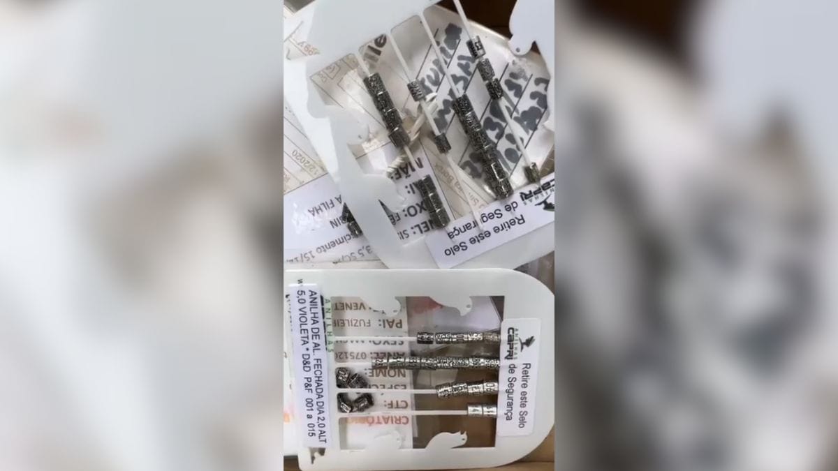 Polícia resgata mais de 200 pássaros vítimas de maus-tratos em SC