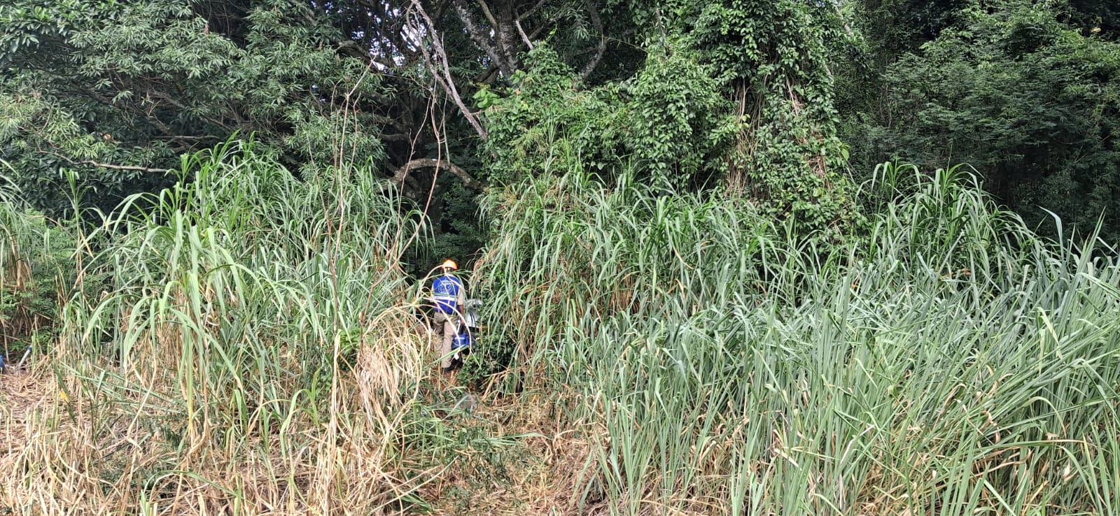 Após saída de pista, ocupantes abandonam carro na PR-170 em Apucarana; veja