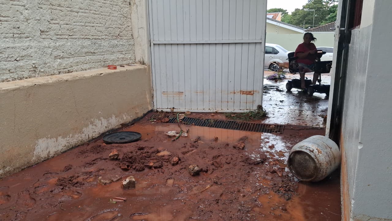 Enxurrada invade casa em Arapongas e arrasta dois cães da raça bulldog francês