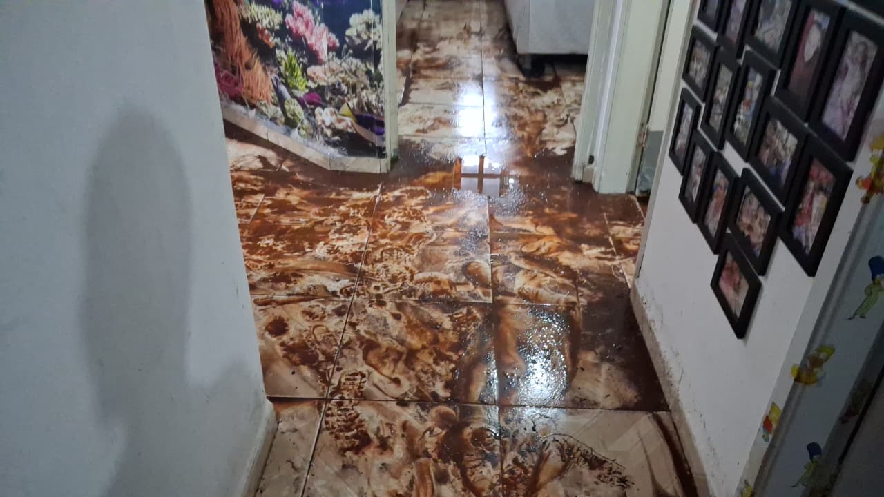 Enxurrada invade casa em Arapongas e arrasta dois cães da raça bulldog francês