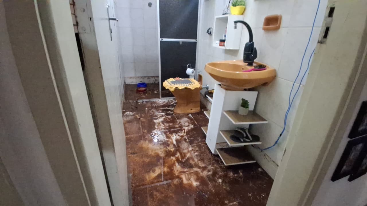 Enxurrada invade casa em Arapongas e arrasta dois cães da raça bulldog francês