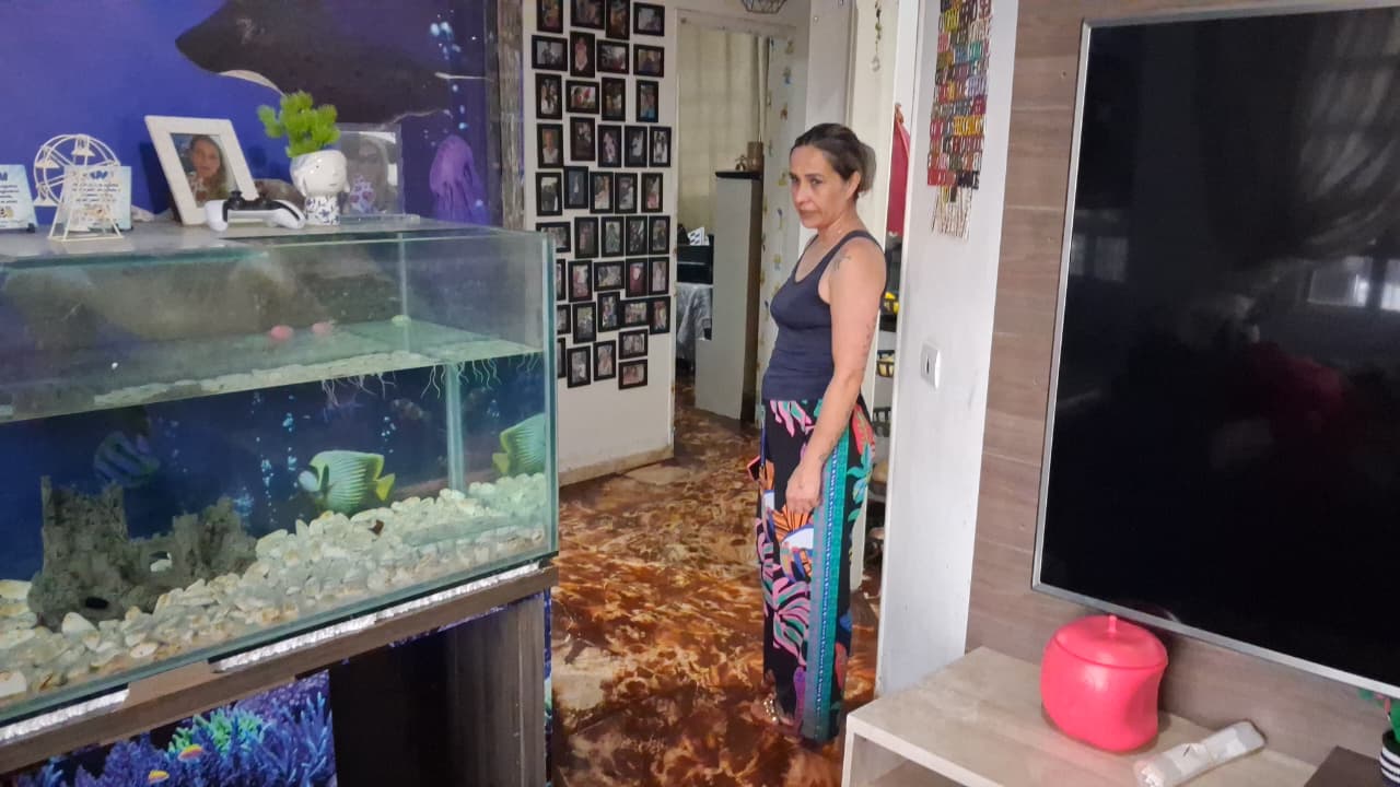 Enxurrada invade casa em Arapongas (PR) e arrasta dois cães da raça bulldog francês