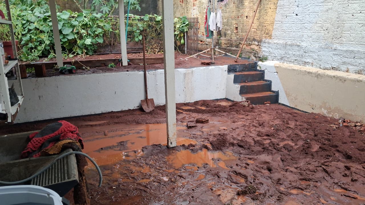 Enxurrada invade casa em Arapongas e arrasta dois cães da raça bulldog francês