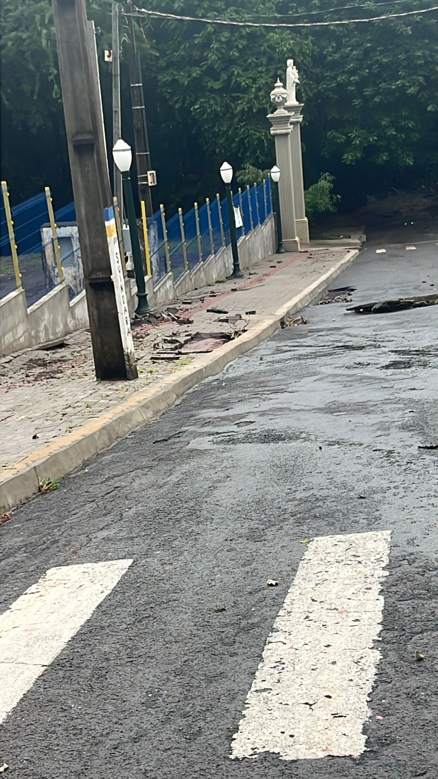 Temporal alaga ruas e provoca queda de árvores em Arapongas