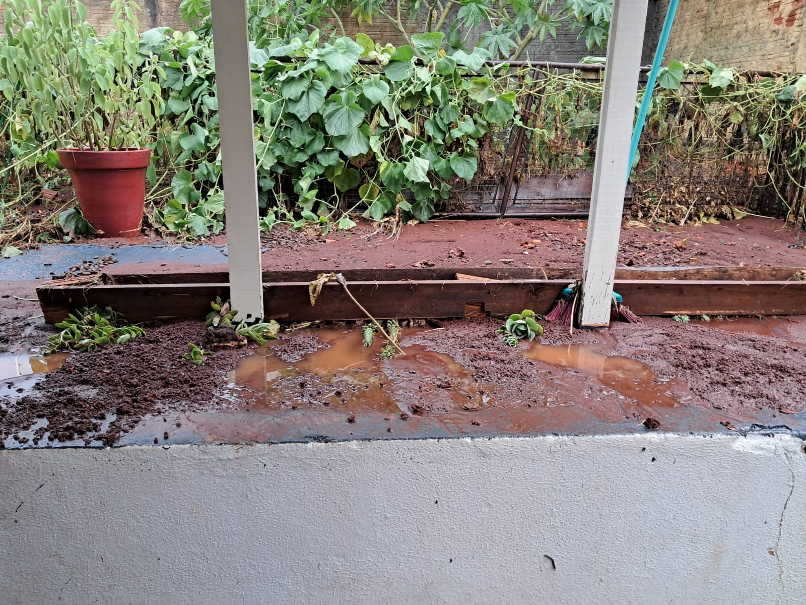 Temporal alaga ruas e provoca queda de árvores em Arapongas