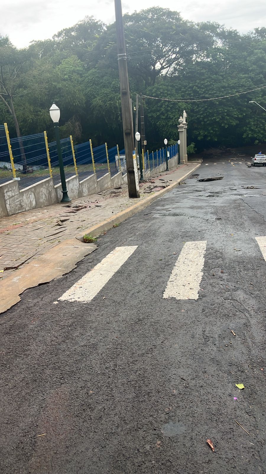 Temporal alaga ruas e provoca queda de árvores em Arapongas