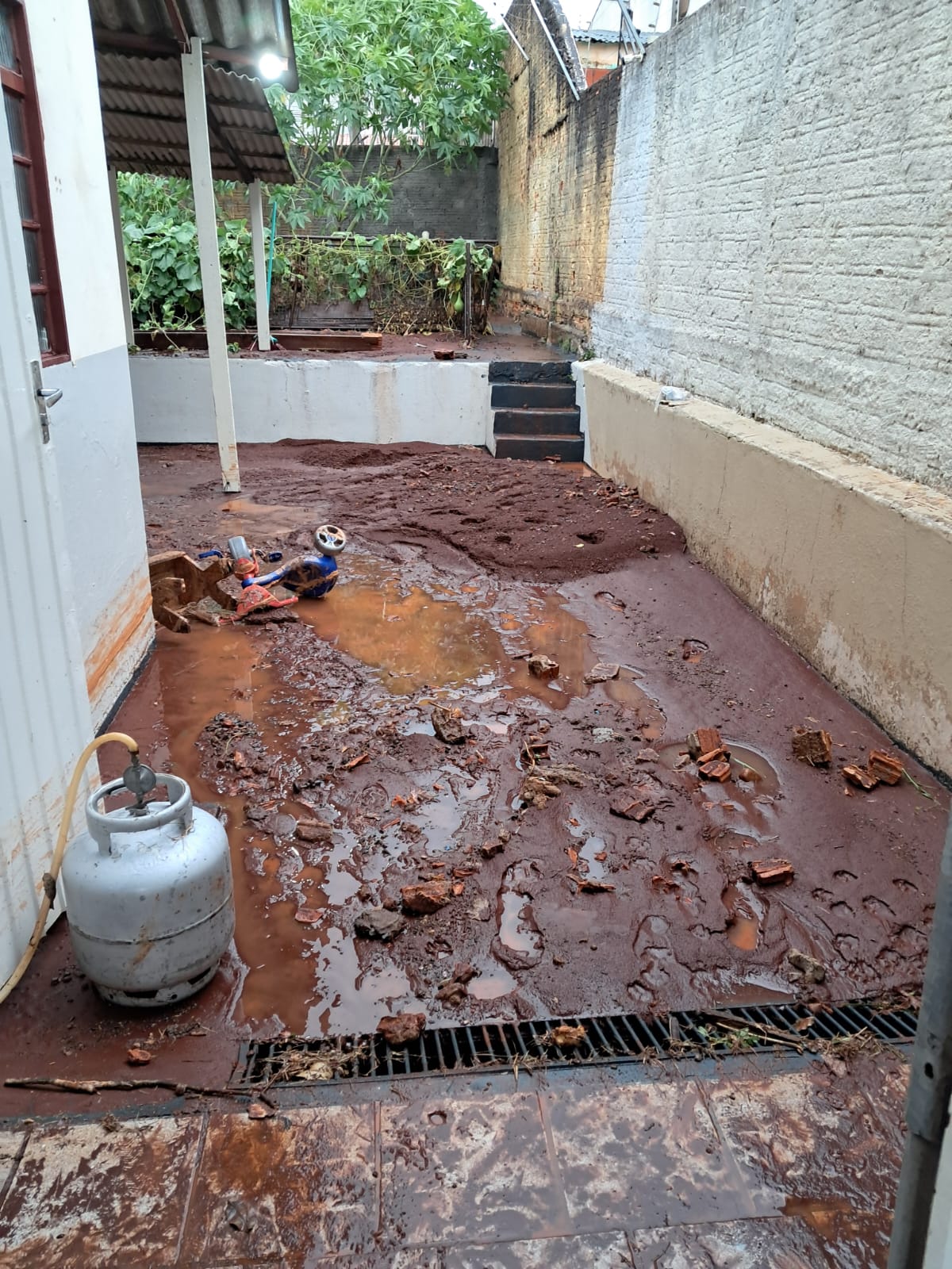 Temporal alaga ruas e provoca queda de árvores em Arapongas