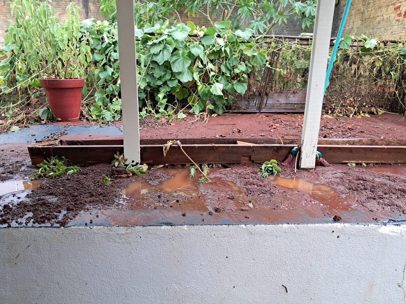 Temporal alaga ruas e provoca queda de árvores em Arapongas