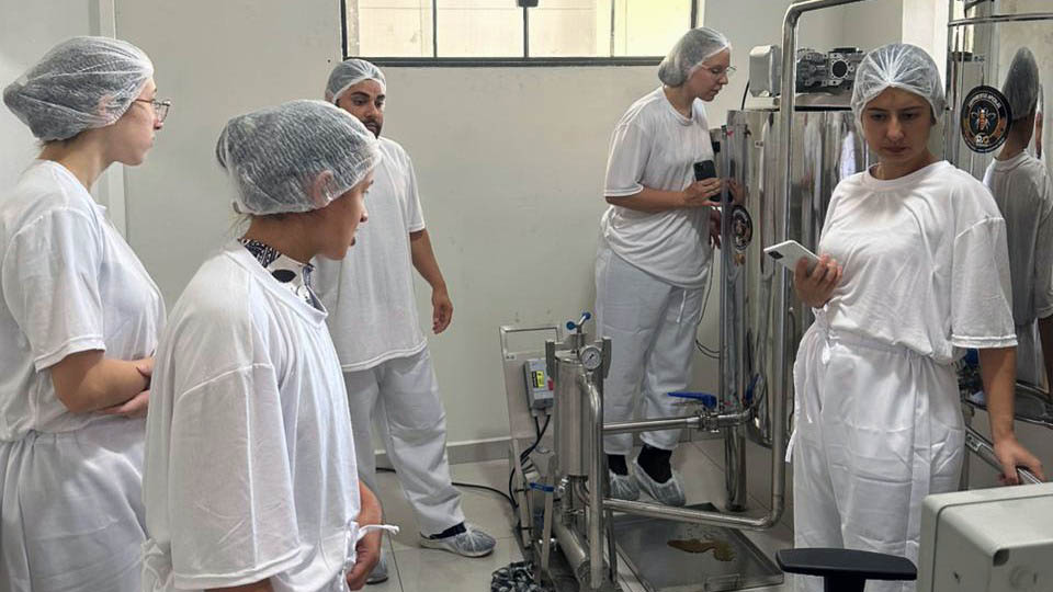 Associativismo abre caminho para novas agroindústrias no Vale do Ivaí