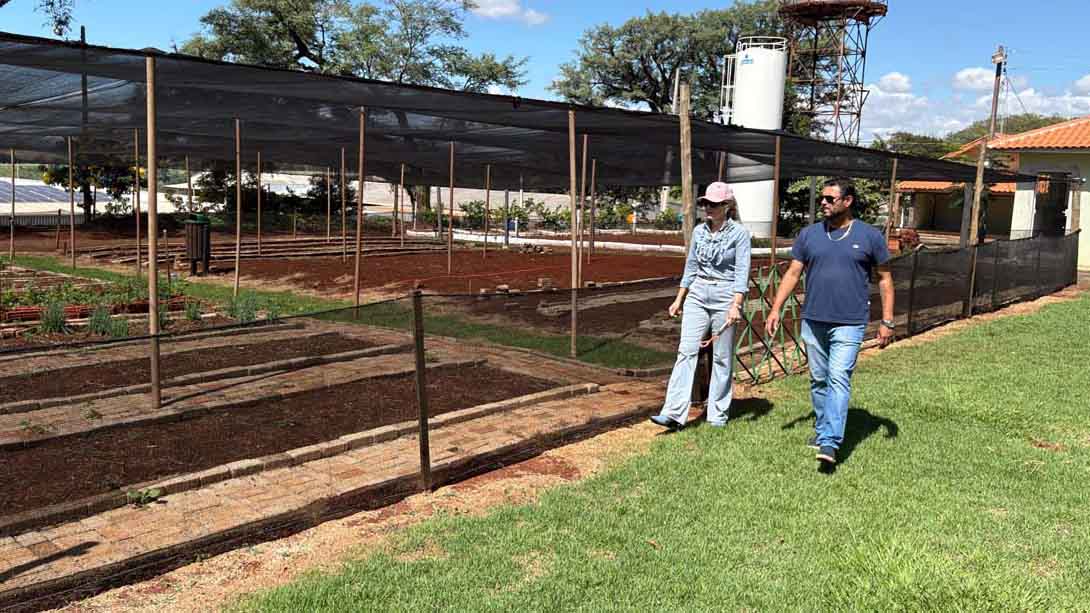 Ivaiporã aposta em Horta Escola para incentivar alimentação saudável