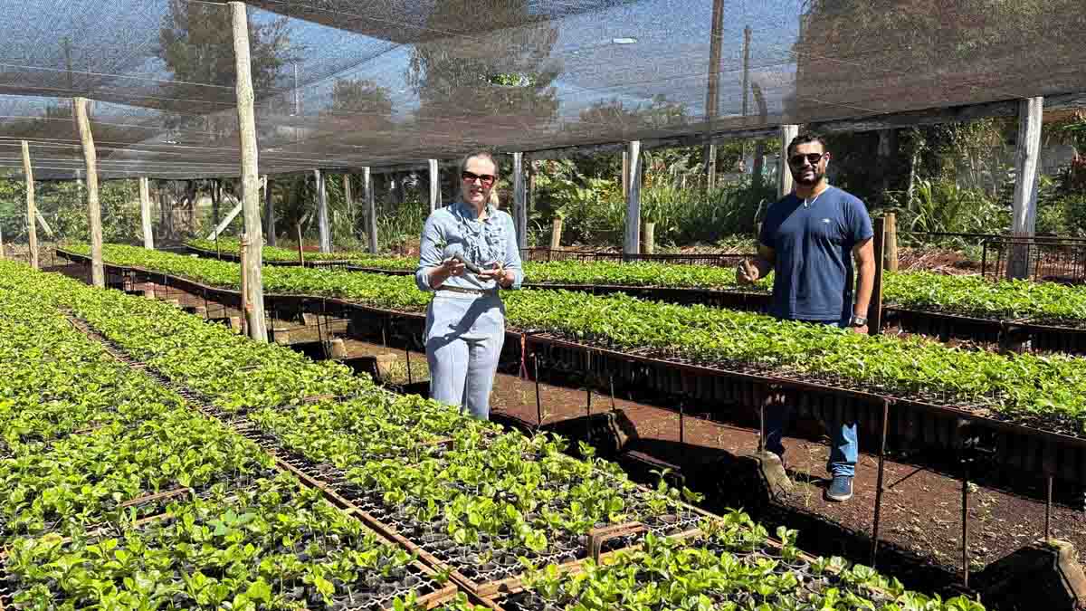 Ivaiporã aposta em Horta Escola para incentivar alimentação saudável