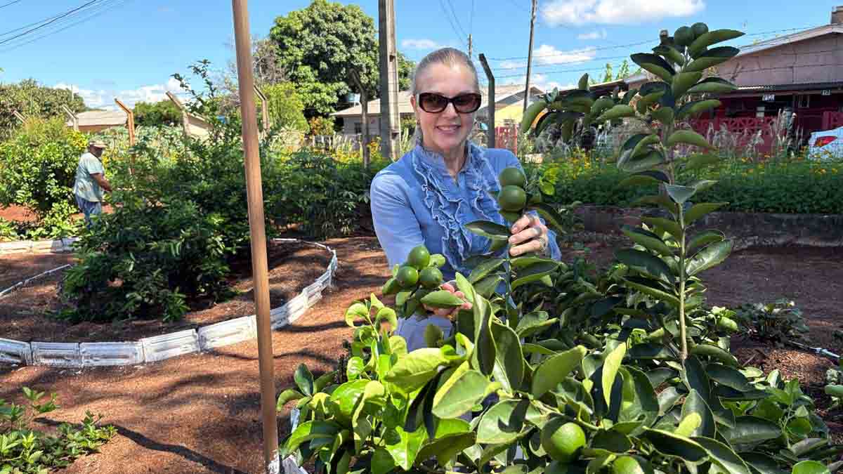 Ivaiporã aposta em Horta Escola para incentivar alimentação saudável