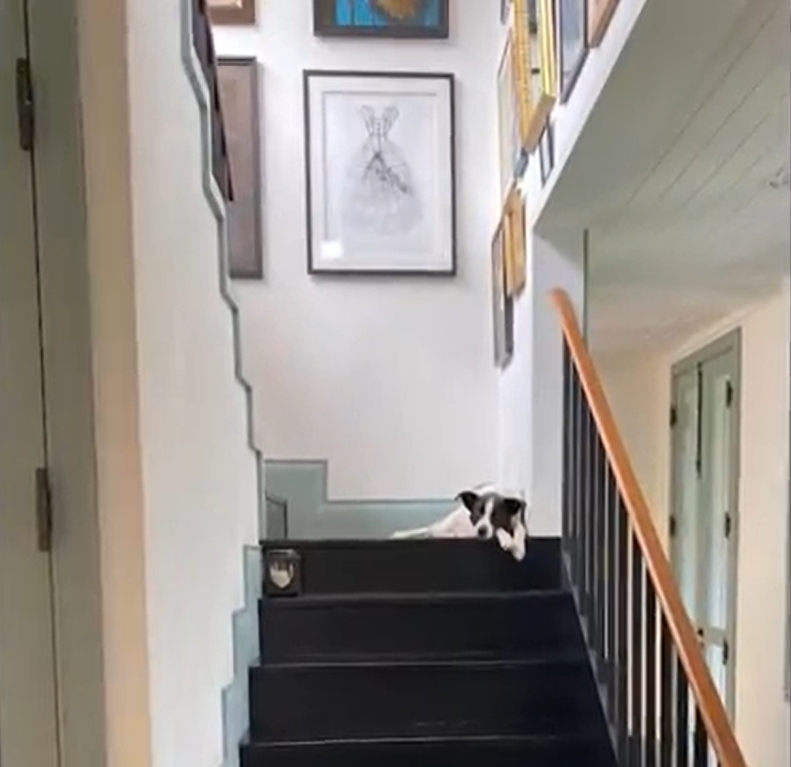 Jornalista da Globo tem casa de campo que pode valer até R$ 6 milhões; saiba quem