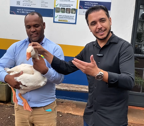 O resgate foi conduzido de forma estratégica para garantir o bem-estar da ave.