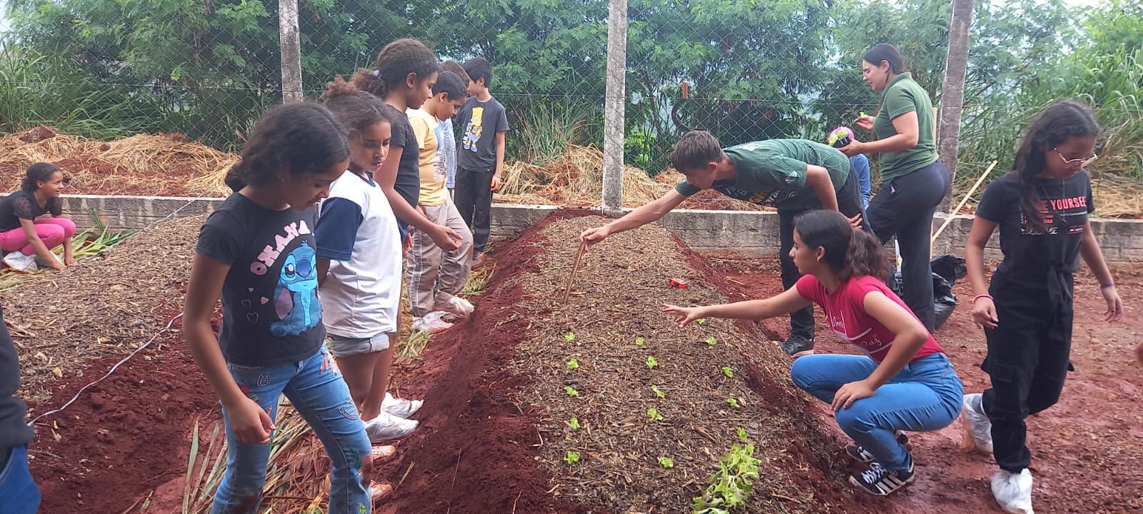 Oficina ensina alunos e produtores a criar hortas sustentáveis em Jandaia