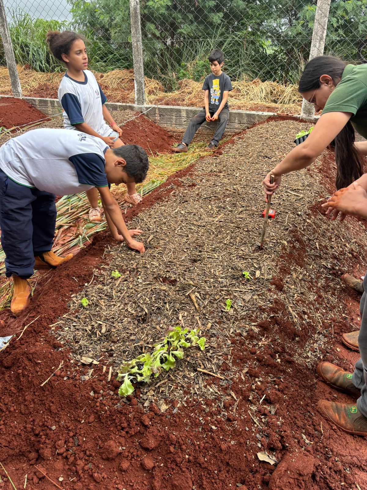Oficina ensina alunos e produtores a criar hortas sustentáveis em Jandaia