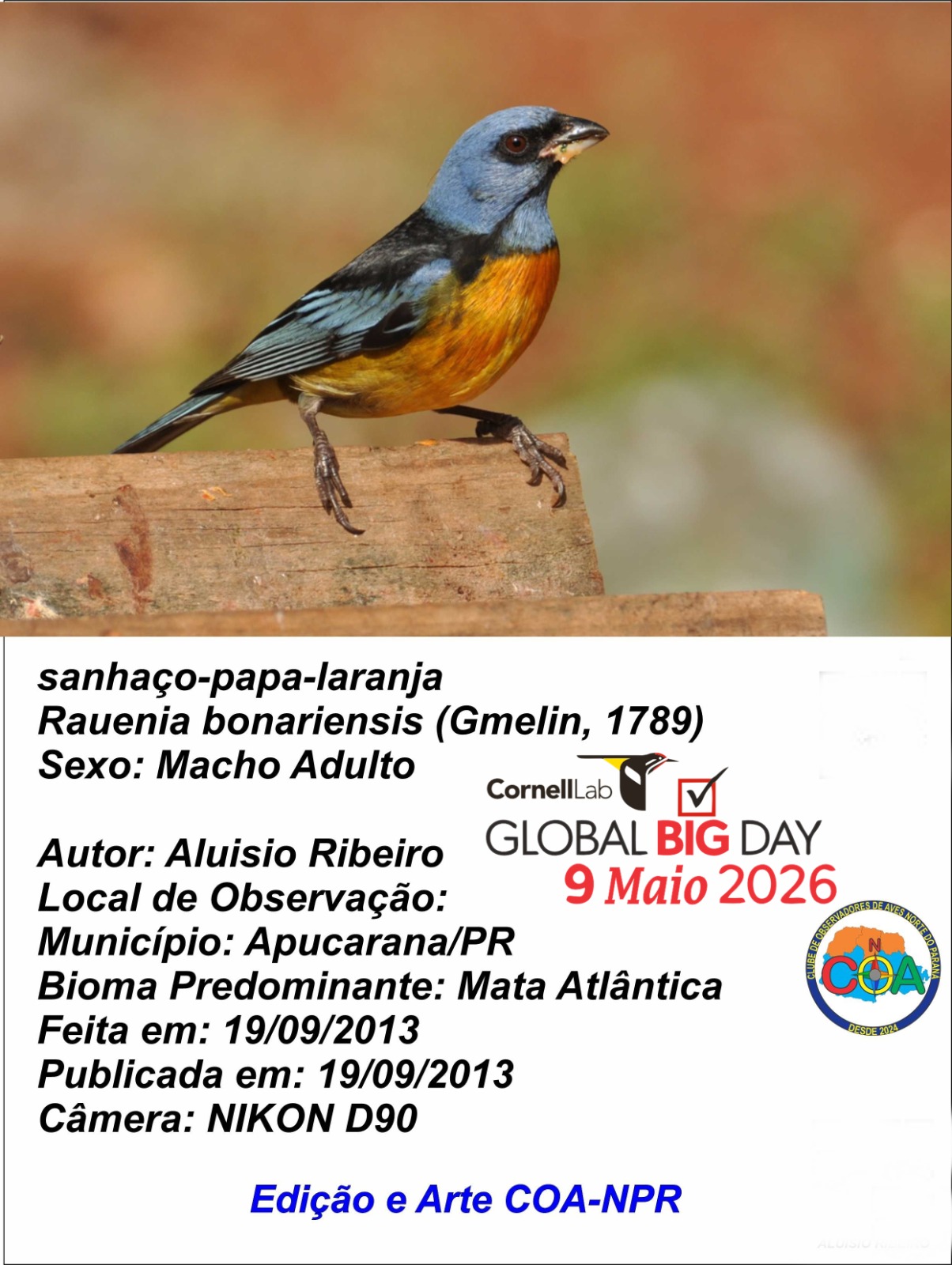 Apucarana participa de evento mundial de observação de aves