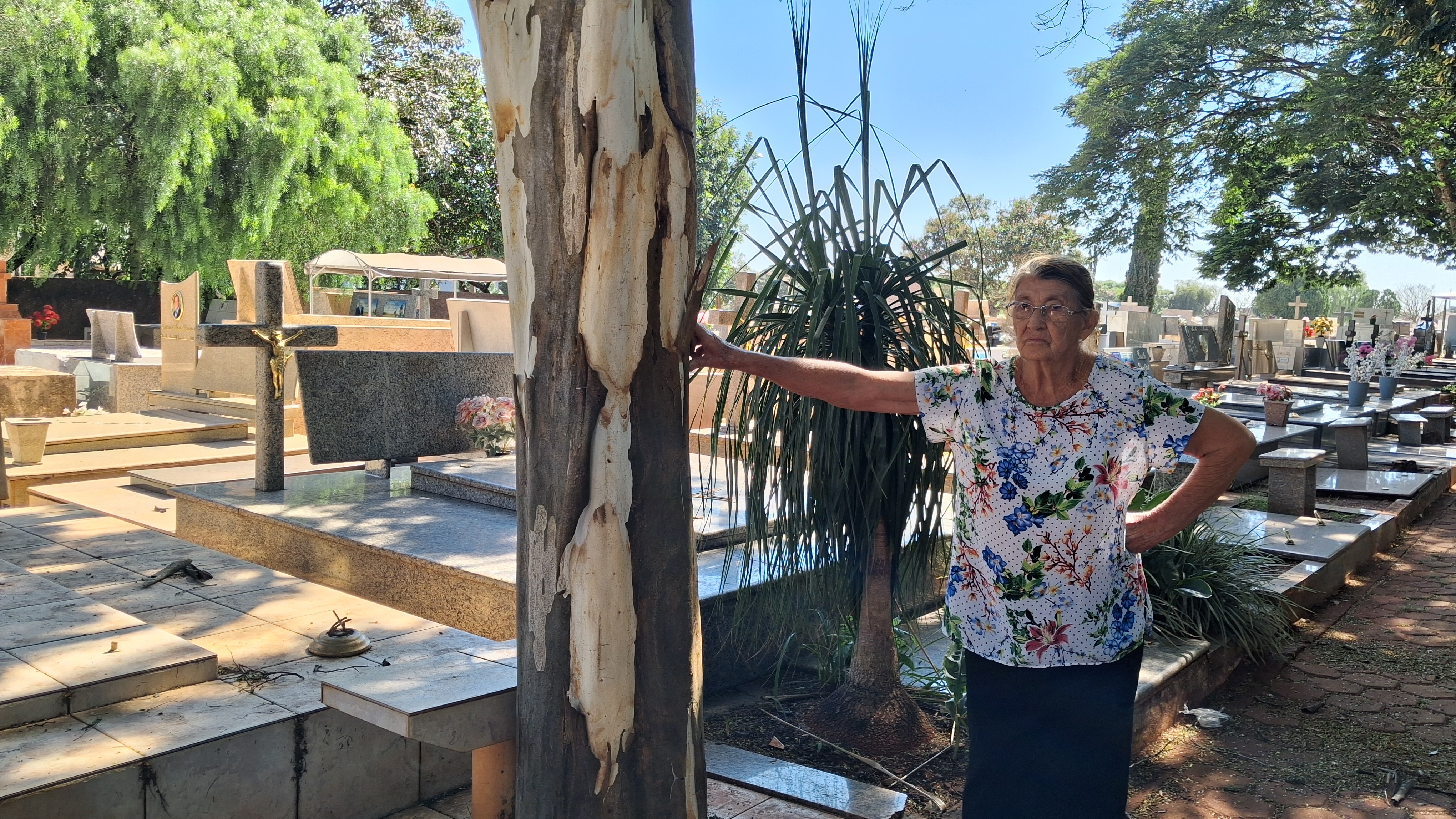 Família denuncia sumiço de restos mortais de cemitério em Arapongas (PR); veja