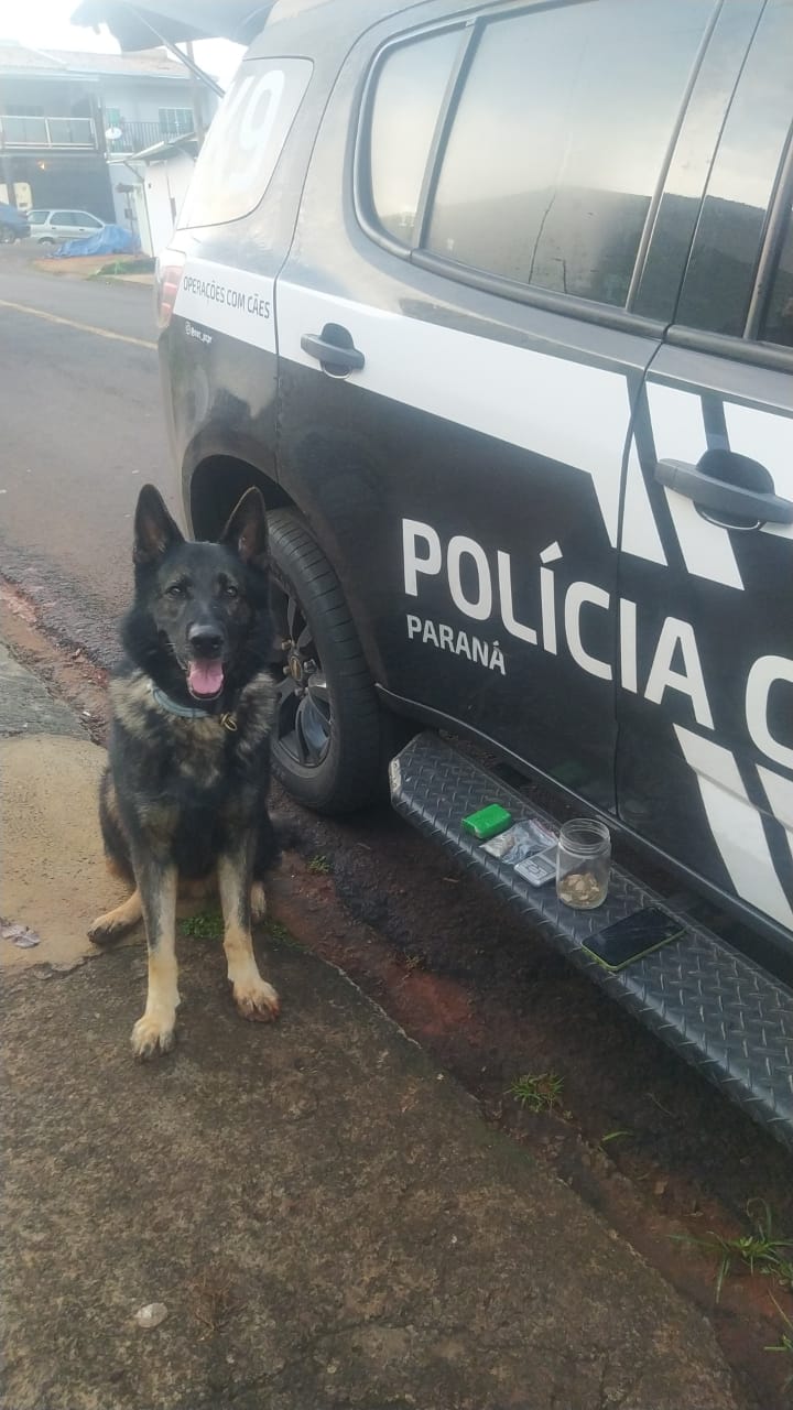 Operação da Polícia Civil prende suspeitos de tráfico em Apucarana e Mandaguari