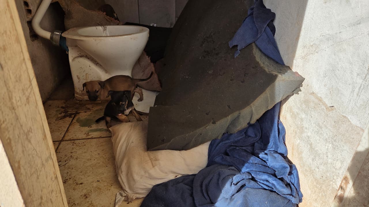Prefeitura de Apucarana interdita a "Vila do Chaves"; veja imagens do local