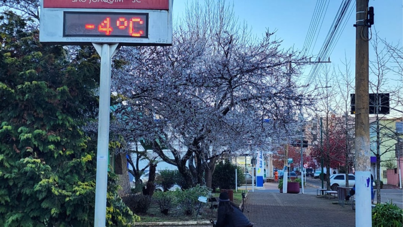 Onda de frio congelante atinge SC e faz termômetros despencarem para -9,1°C; veja fotos