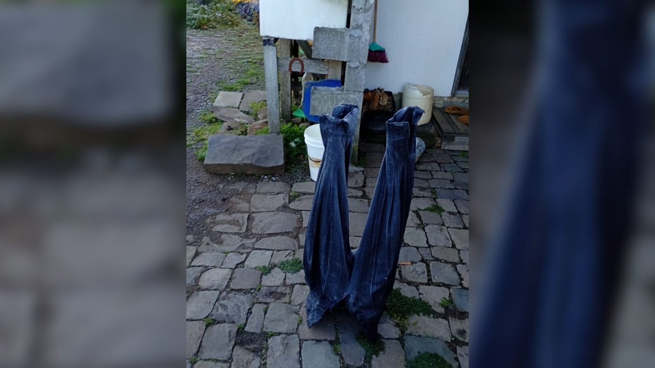 Onda de frio congelante atinge SC e faz termômetros despencarem para -9,1°C; veja fotos