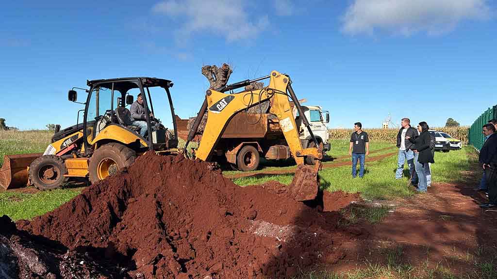 Oliveiras centenárias apreendidas pela Receita Federal ganham novo destino em Ivaiporã