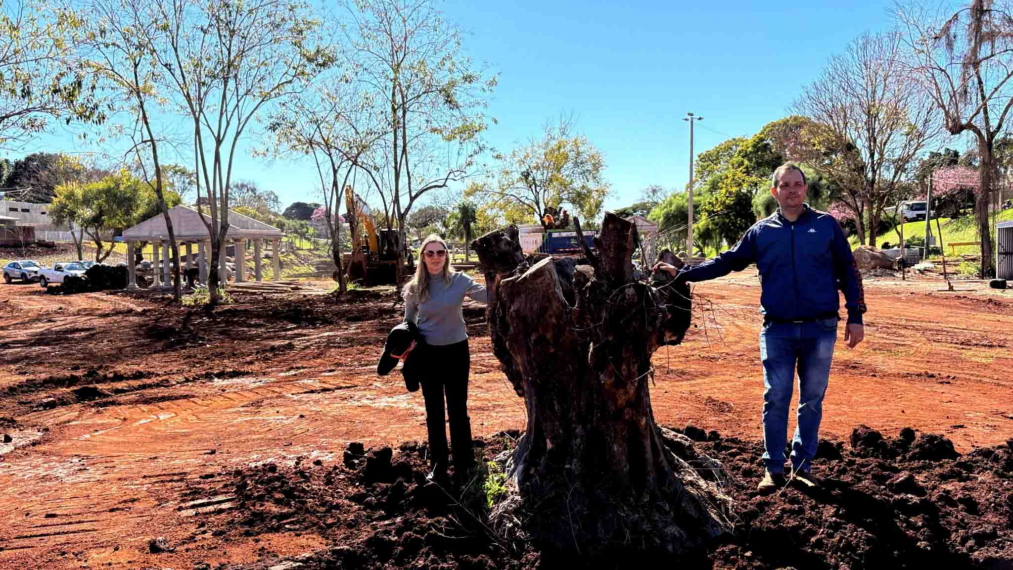 Oliveiras centenárias apreendidas pela Receita Federal ganham novo destino em Ivaiporã