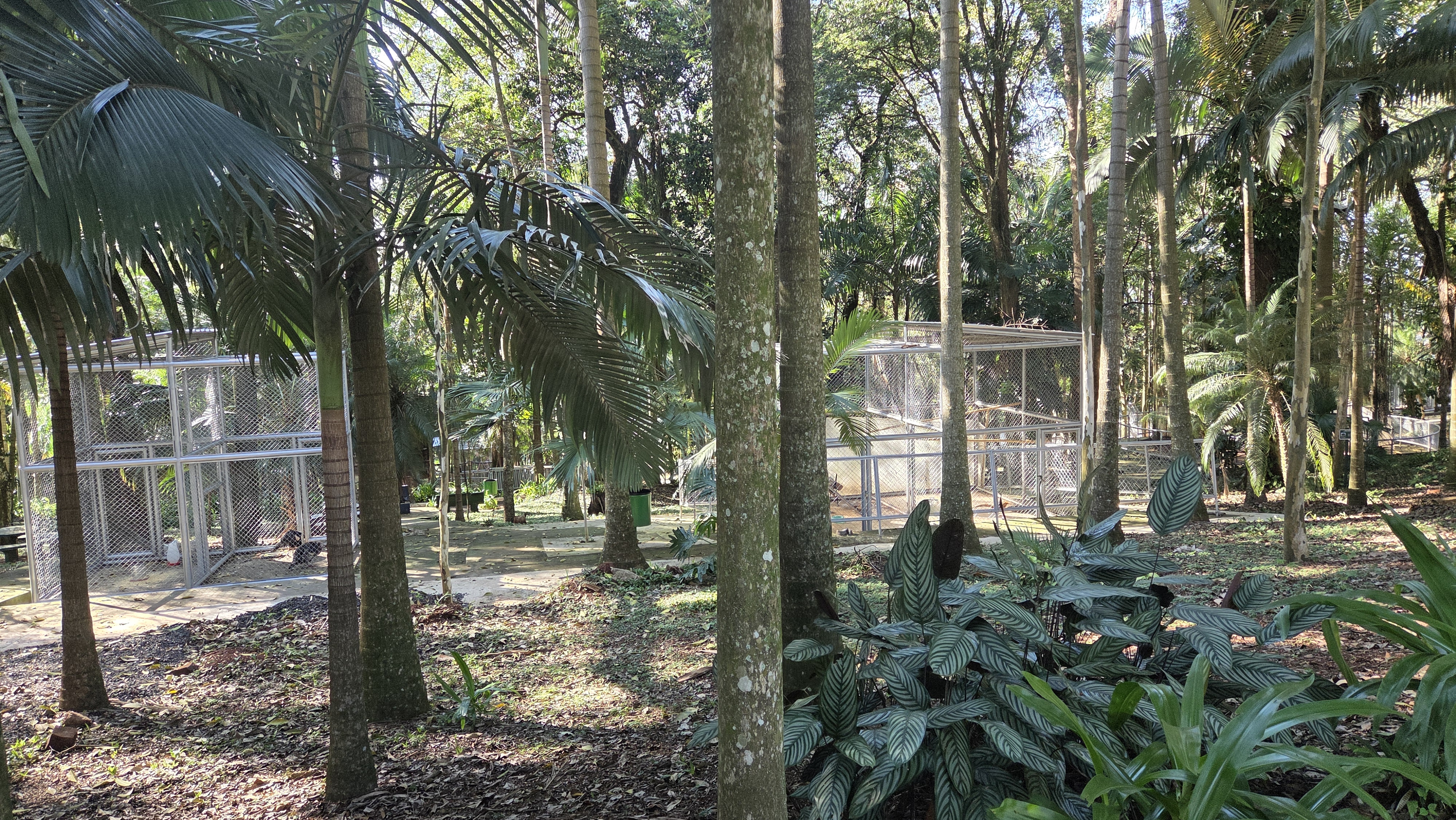 Com 70% das obras concluídas, Bosque de Apucarana passa por reestruturação para reabertura