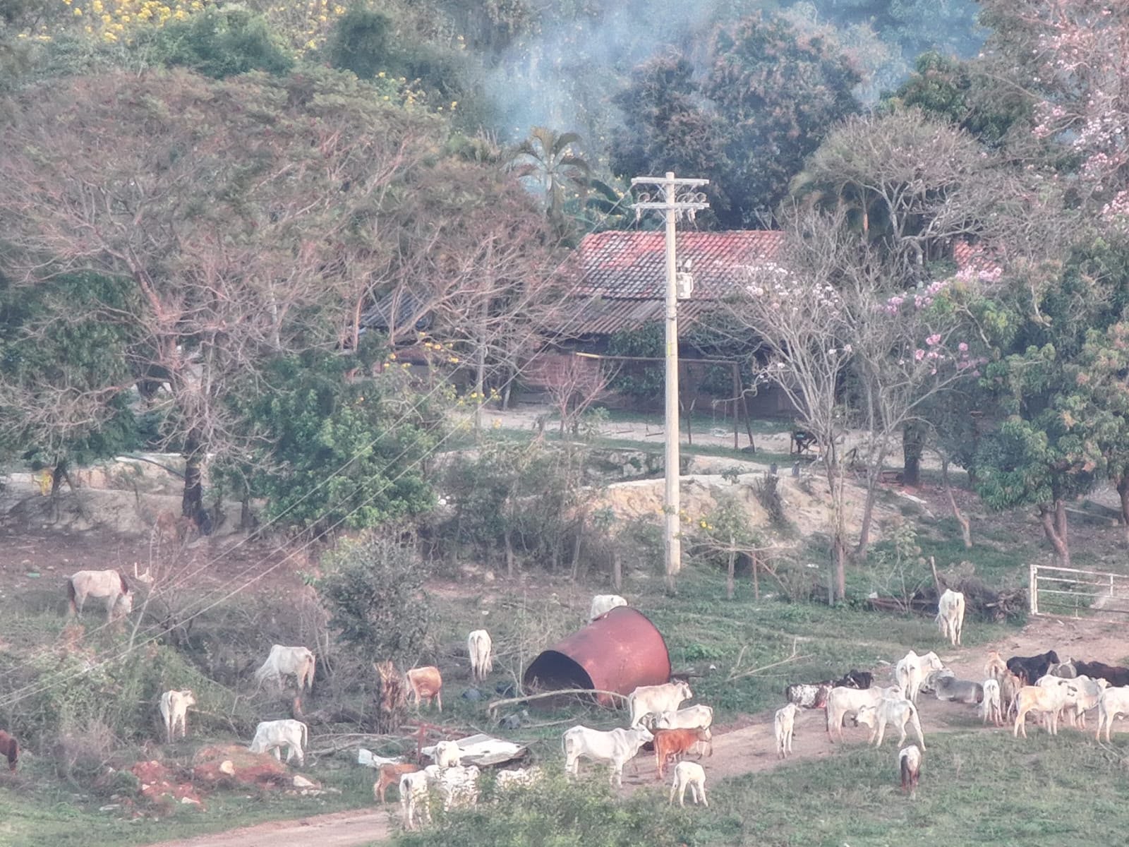 Fotos mostram sítio onde pai e filho foragidos por chacina em Icaraíma se escondiam em SP