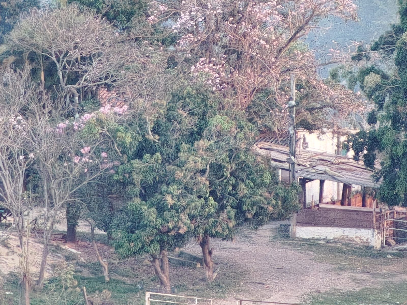 Fotos mostram sítio onde pai e filho foragidos por chacina em Icaraíma se escondiam em SP