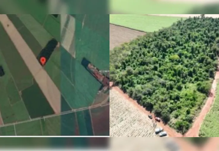 Polícia confirma que ossadas achadas no PR são de primas desaparecidas desde abril