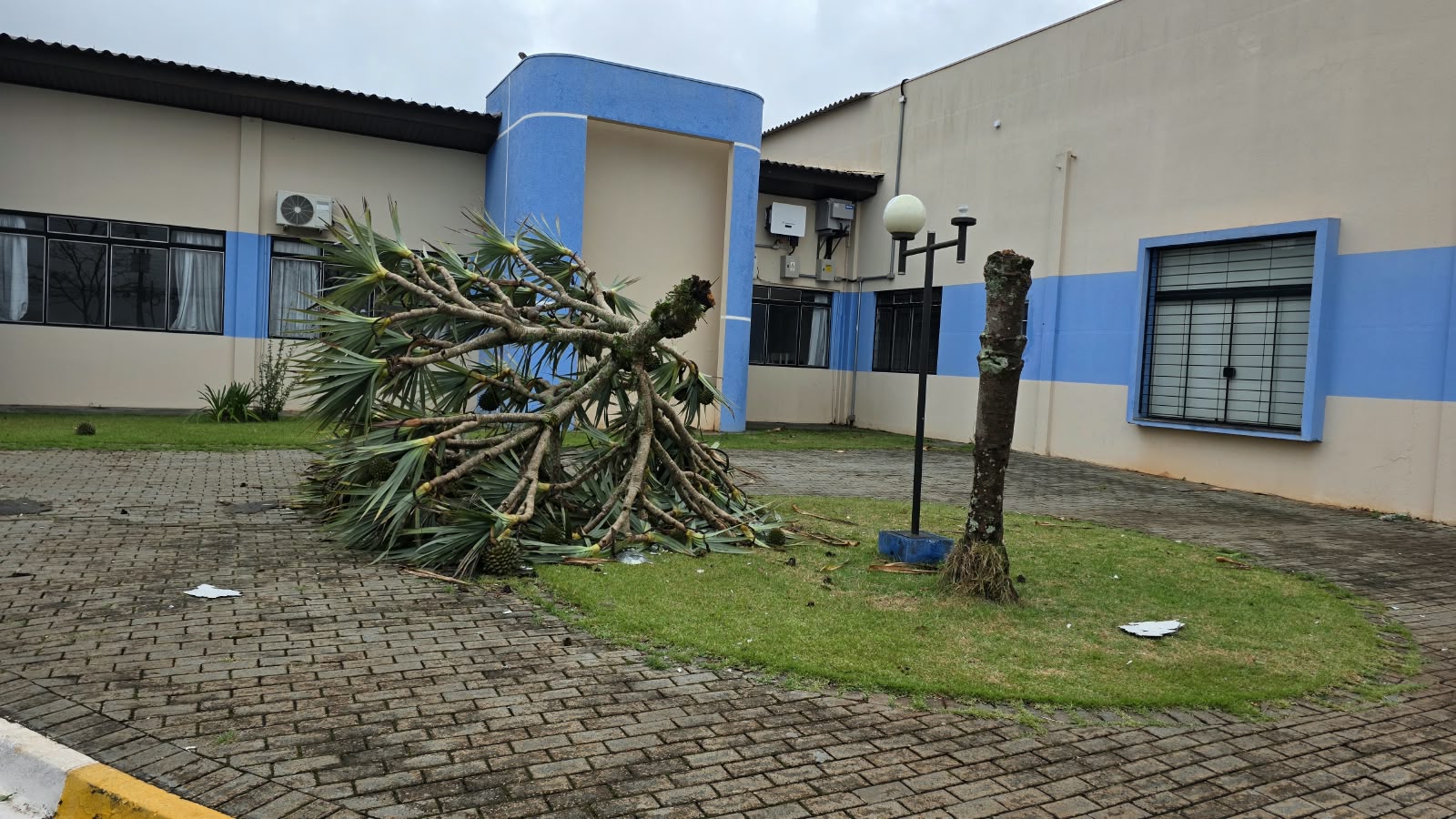 Apae de Apucarana enfrenta prejuízos causados pelo temporal