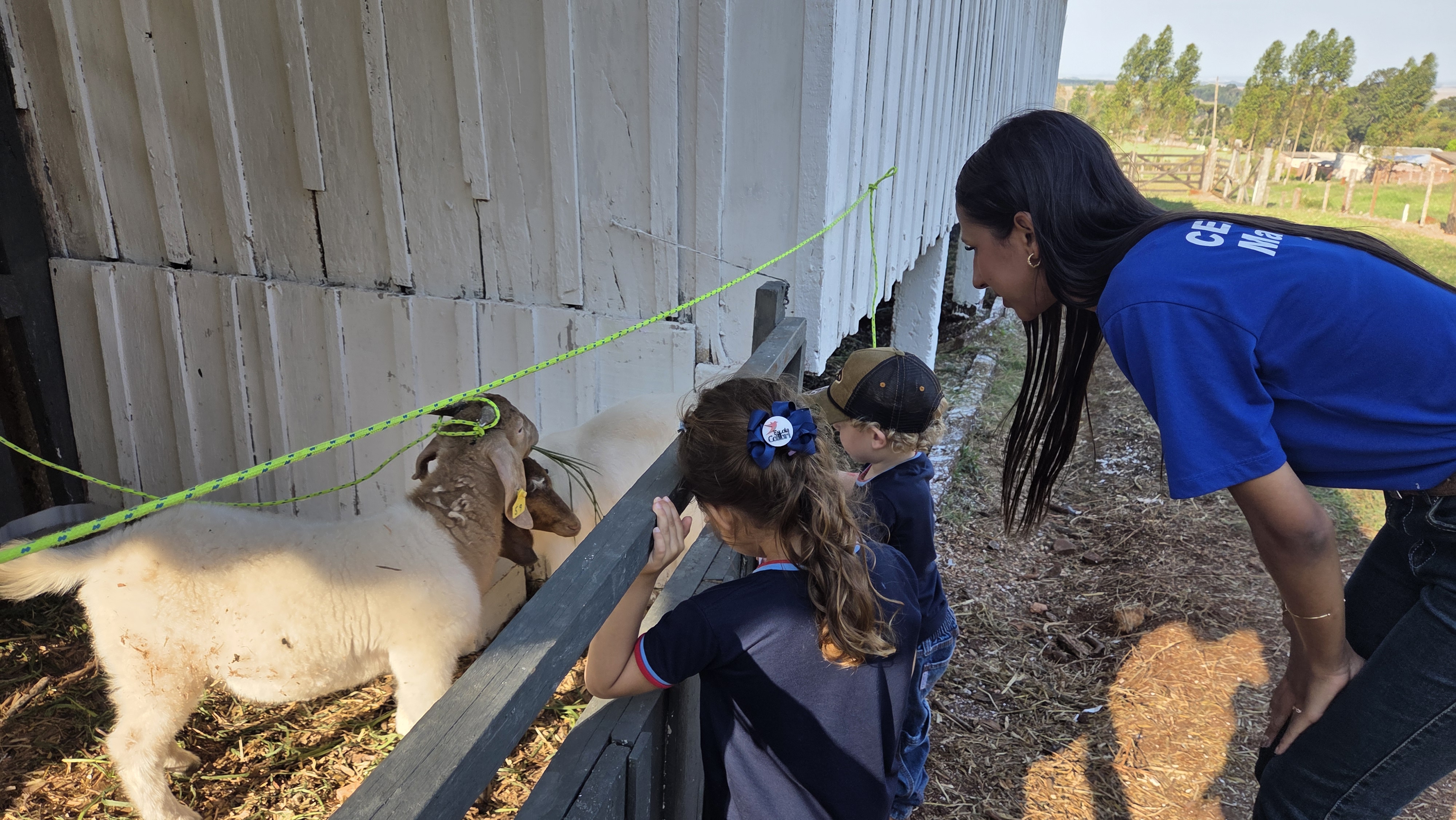 ExpoAgri reúne 50 projetos de alunos do Colégio Agrícola de Apucarana