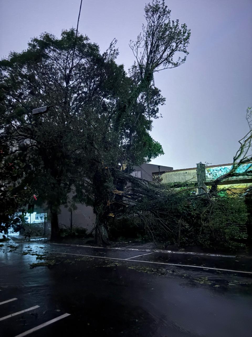 FOTOS: Temporal com ventos de 125 km/h deixa rastro de destruição em Apucarana