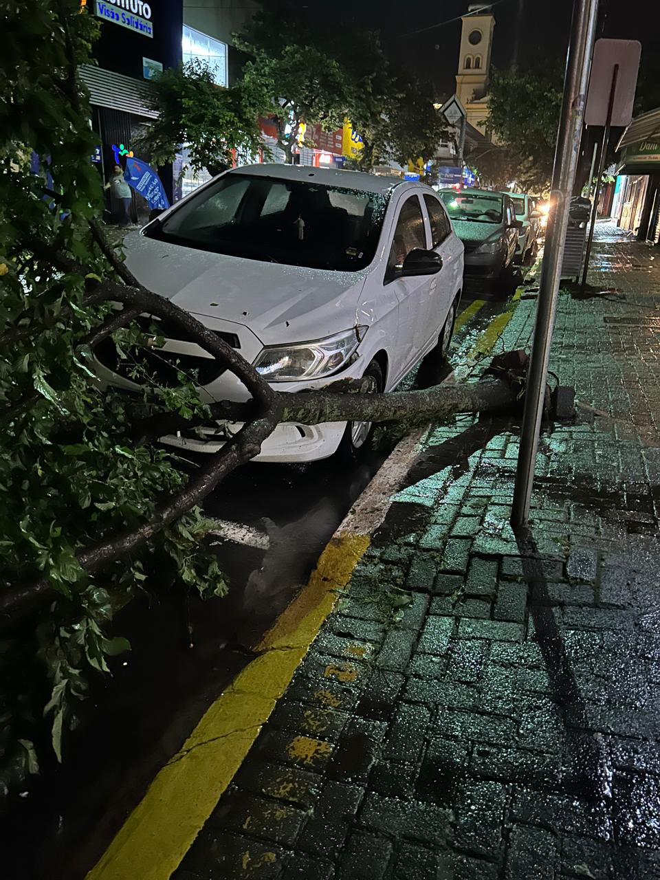 FOTOS: Temporal com ventos de 125 km/h deixa rastro de destruição em Apucarana