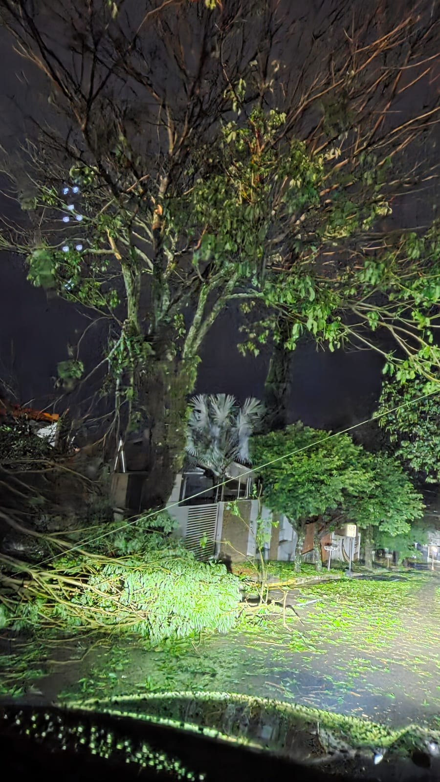 FOTOS: Temporal com ventos de 125 km/h deixa rastro de destruição em Apucarana