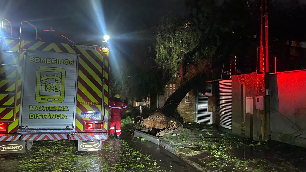 FOTOS: Temporal com ventos de 125 km/h deixa rastro de destruição em Apucarana