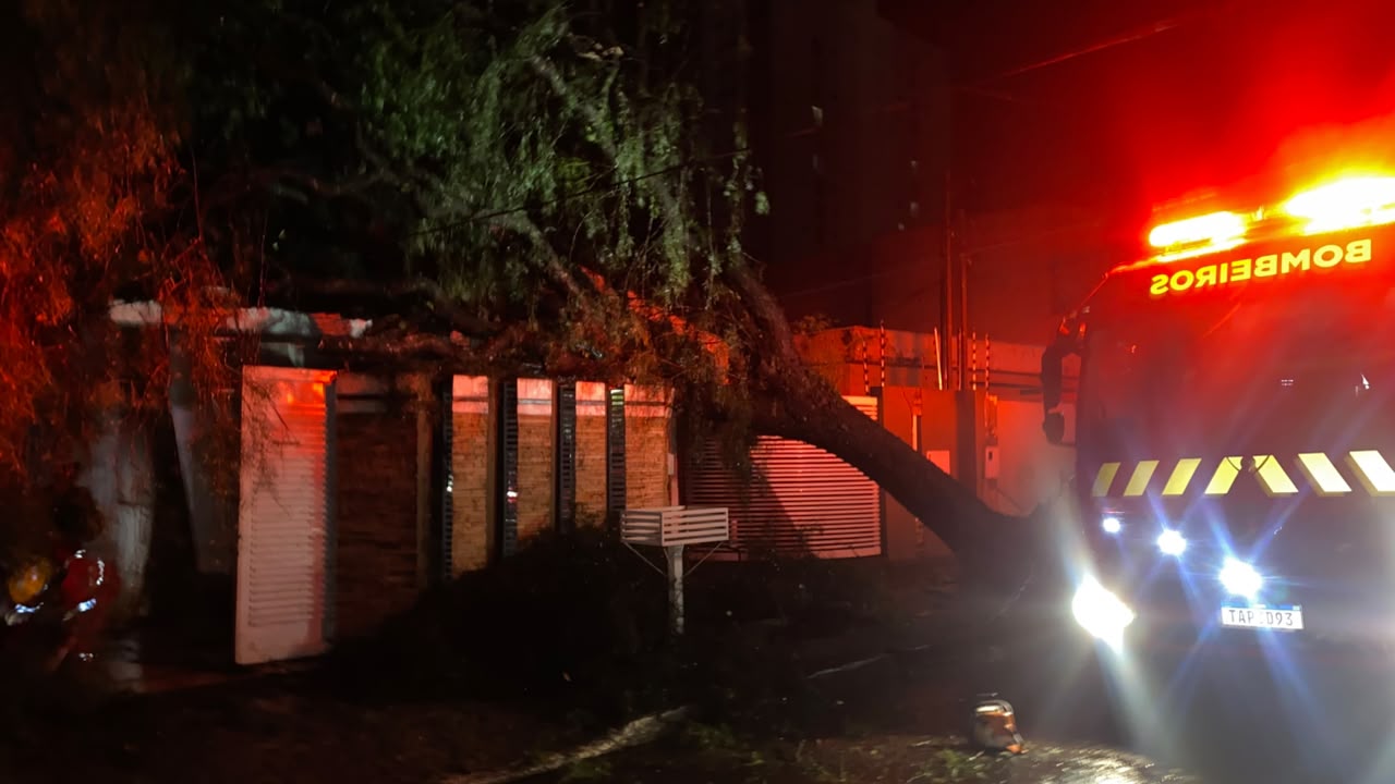 FOTOS: Temporal com ventos de 125 km/h deixa rastro de destruição em Apucarana