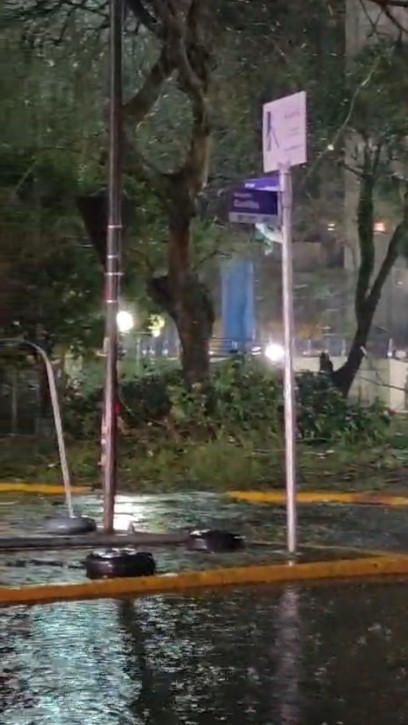 FOTOS: Temporal com ventos de 125 km/h deixa rastro de destruição em Apucarana
